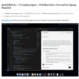 Blackbox Ai_1