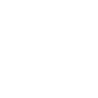 Rize Capital AI logo